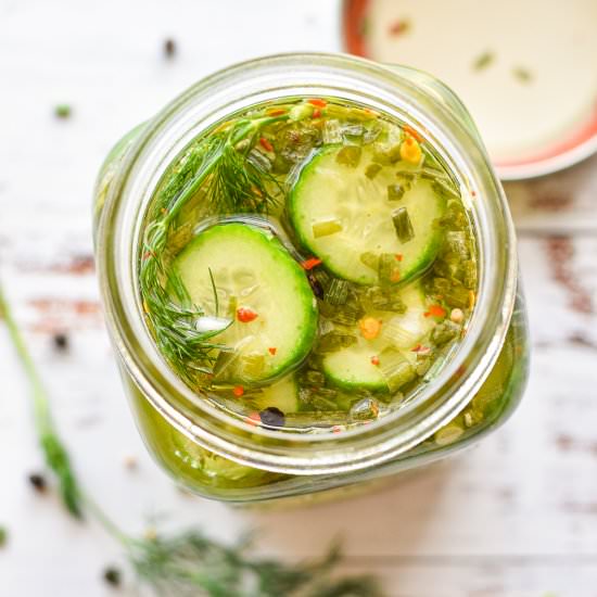 Quick Low FODMAP Pickles - Recipe photo by goodnomshoney