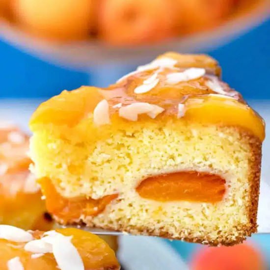 German Apricot Cake - Recipe photo by 30minutesmeals