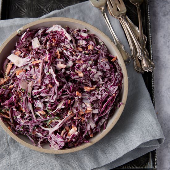Red Cabbage Slaw - Recipe photo by Barbara Curry