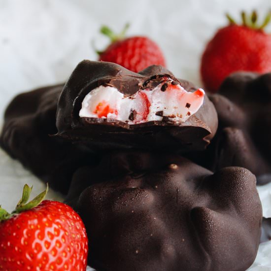 Chocolate Covered Yogurt Bites - Recipe photo by thefigjar