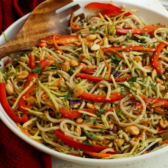 Asian Noodle Salad - Recipe photo by Small Town Woman