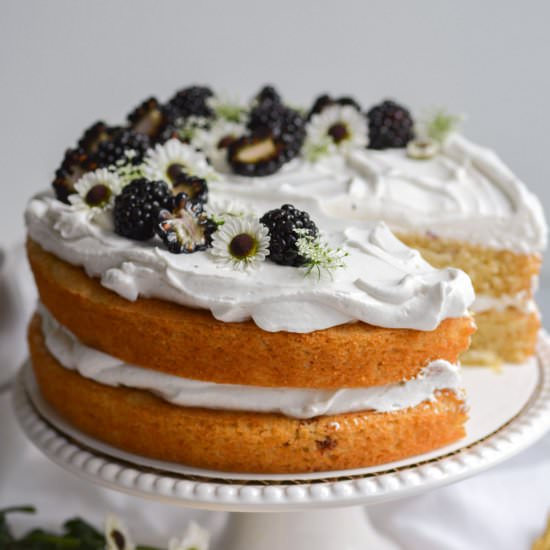 Vegan Blackberry Chantilly Cake - Recipe photo by earthly provisions