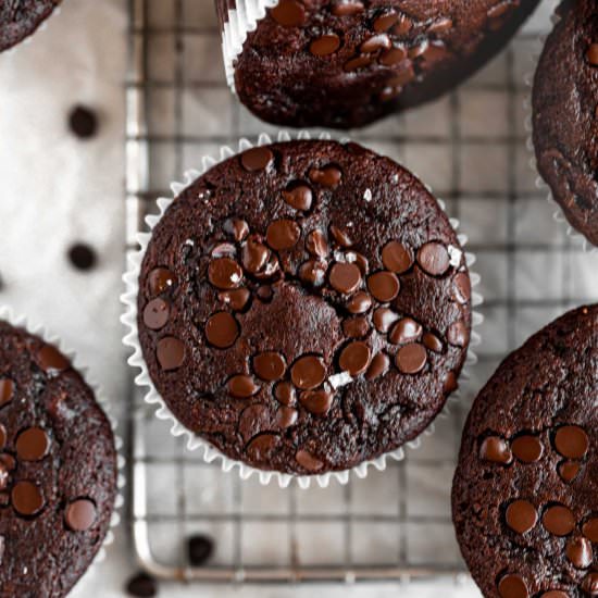 Chocolate Zucchini Muffins - Recipe photo by Jar Of Lemons