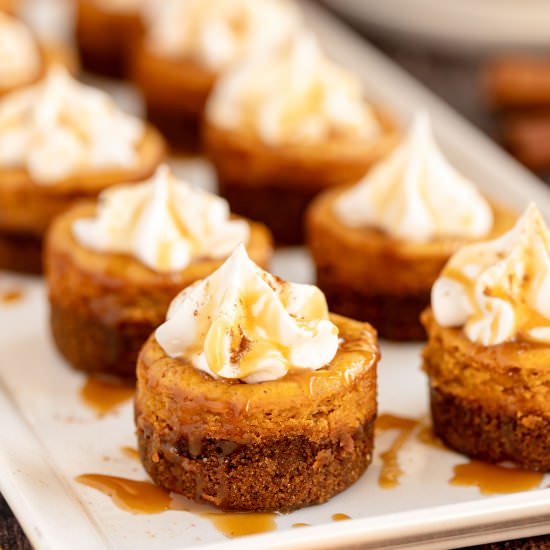 Mini Pumpkin Cheesecakes - Recipe photo by KyleeCooks