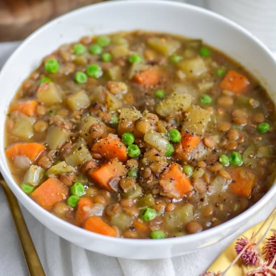 Instant Pot Lentil Stew - Recipe photo by earthly provisions