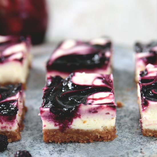 Black Raspberry Cheesecake Bars - Recipe photo by The Merrythought