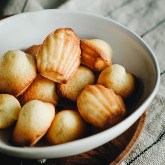 Lemon Madeleines Recipe - Recipe photo by zesttangerine