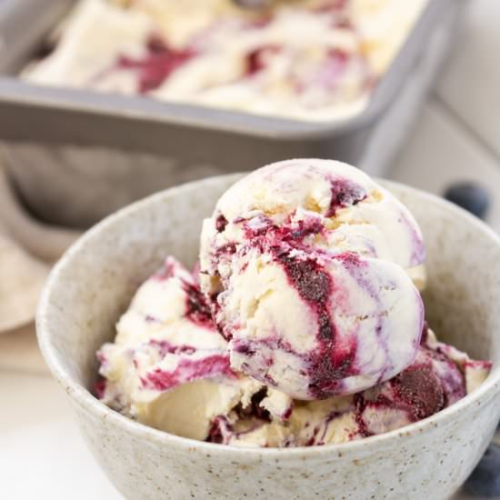 Blueberry Ice Cream - Recipe photo by LifeCurrents