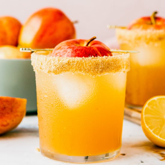 Apple Cider Cocktail - Recipe photo by dishnthekitchen