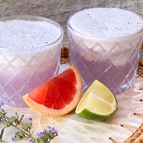Vanilla Grapefruit Gin Sour - Recipe photo by artandthekitchen