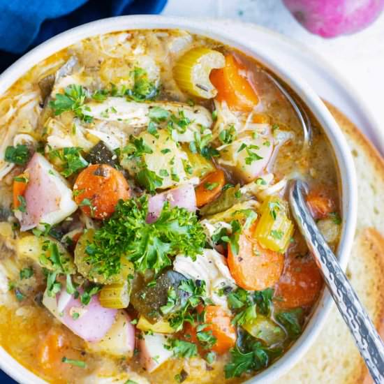 Instant Pot Chicken Vegetable Soup - Recipe photo by EvolvingTable