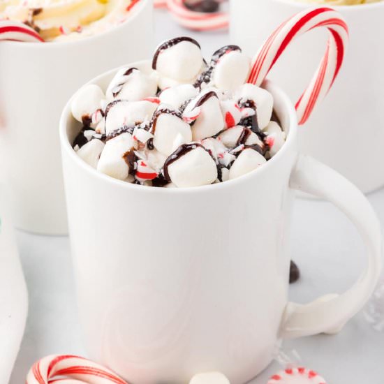 Candy Cane Hot Cocoa - Recipe photo by OnMyKidsPlate