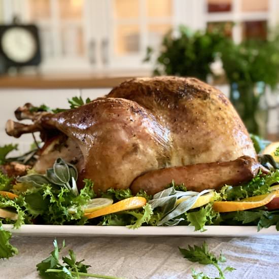 Roast Turkey with Citrus & Sage - Recipe photo by ahintofrosemary