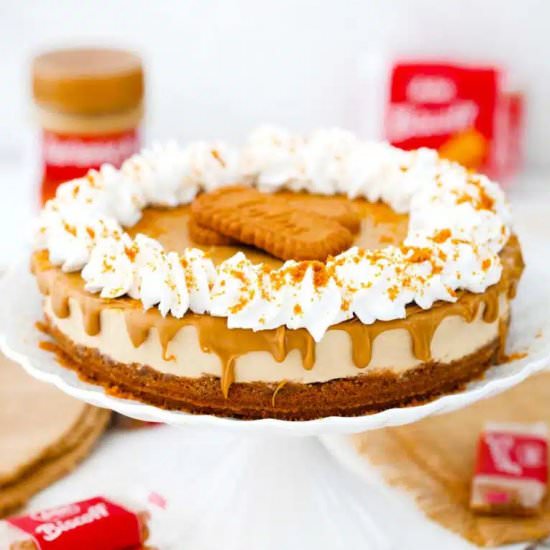 Biscoff Cheesecake - Recipe photo by 30minutesmeals