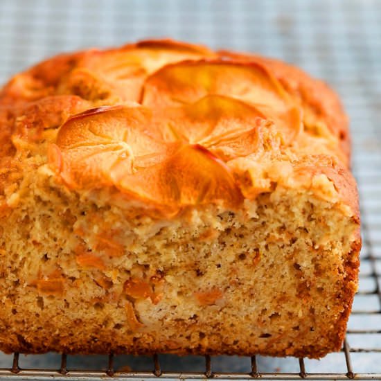Persimmon Bread - Recipe photo by kitchenathoskins