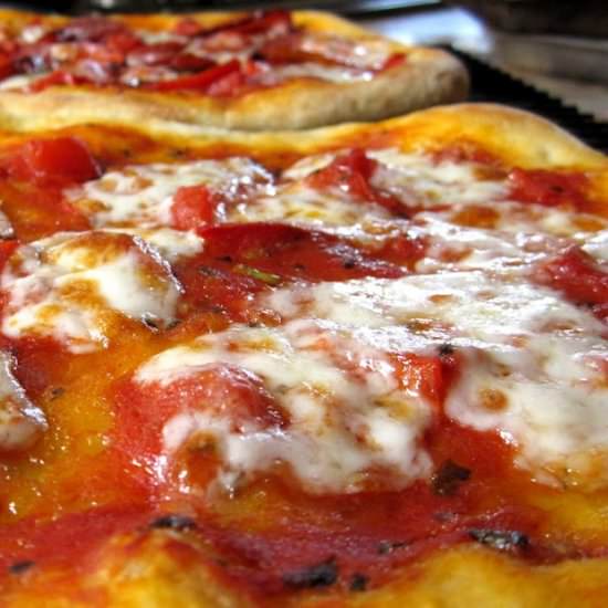 no knead pizza dough recipe - Recipe photo by christinascucina
