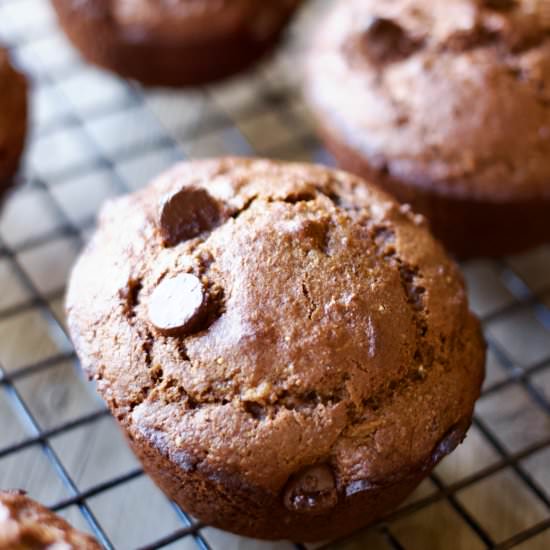 Chocolate Banana Kodiak Muffins - Recipe photo by lanebakery