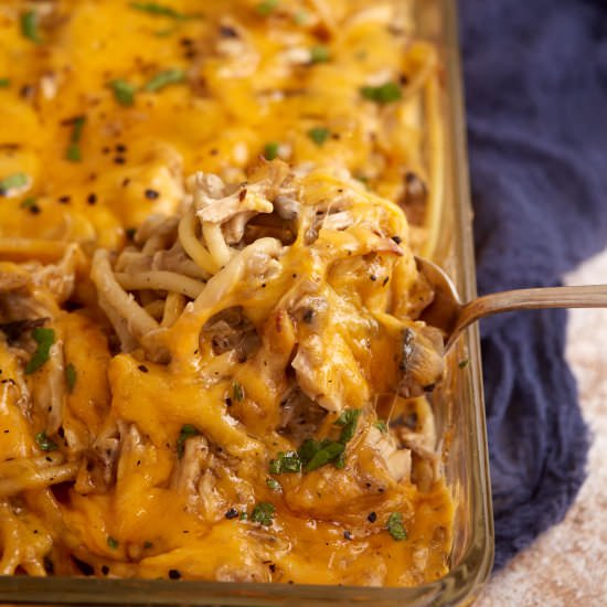 Chicken Tetrazzini - Recipe photo by Barbara Curry