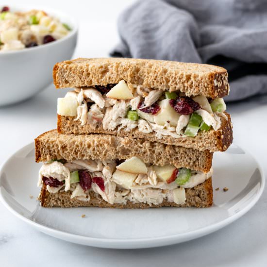 Apple Cranberry Chicken Salad - Recipe photo by freshapron
