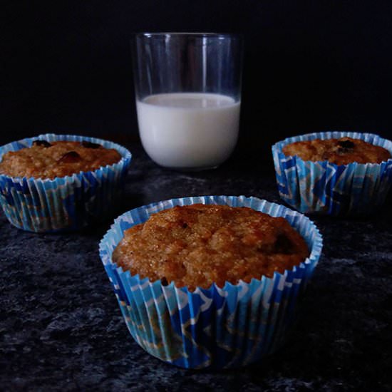 Morning Glory Muffin Recipe - Recipe photo by 2pots2cook
