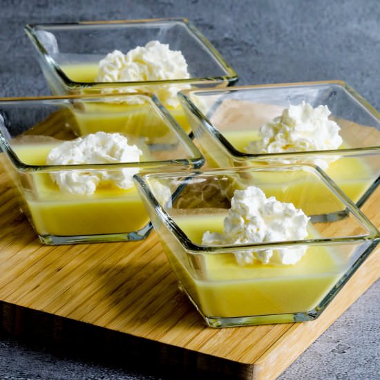 Sugar-Free Jelled Ricotta Pudding - Recipe photo by kalynskitchen