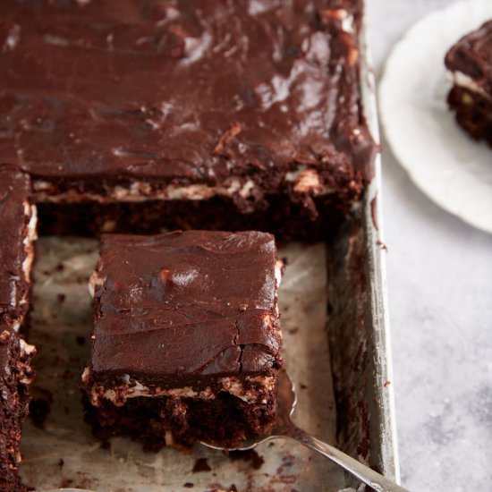 Mississippi Mud Cake - Recipe photo by Barbara Curry