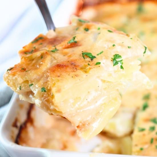 easy classic scalloped potatoes - Recipe photo by nowcookthis