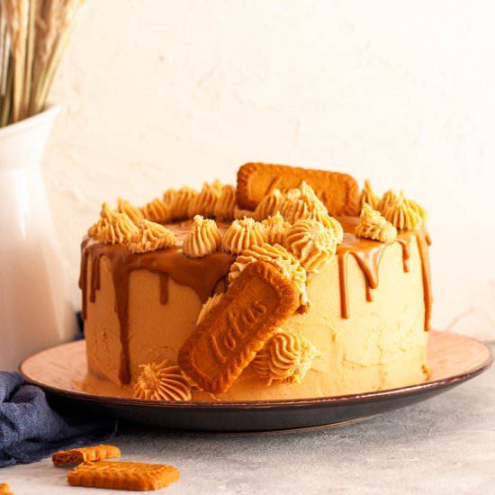 Lotus Biscoff Cake - Recipe photo by PastryWishes