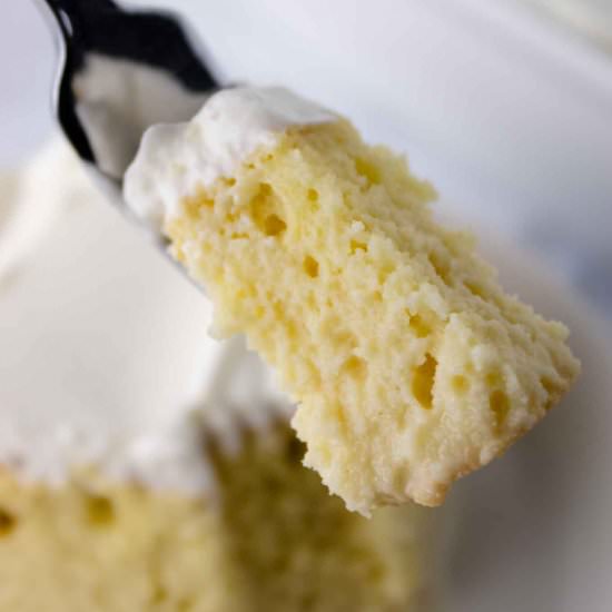 Easy Tres Leches Milk Cake - Recipe photo by bklynactivemama