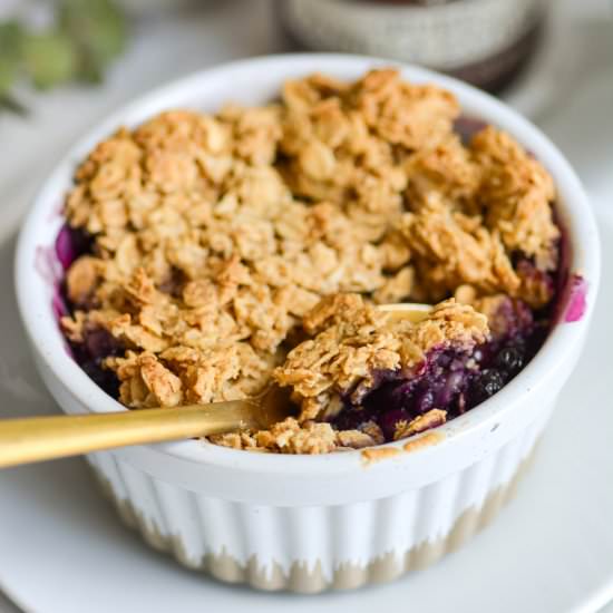 Single Serving Blueberry Crisp - Recipe photo by earthly provisions