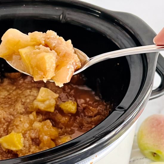 Slow Cooker Apple Cobbler - Recipe photo by theshortordercook