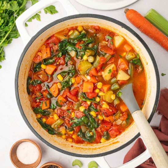 Quick and Easy Spicy Vegetable Soup - Recipe photo by Abi Thiya