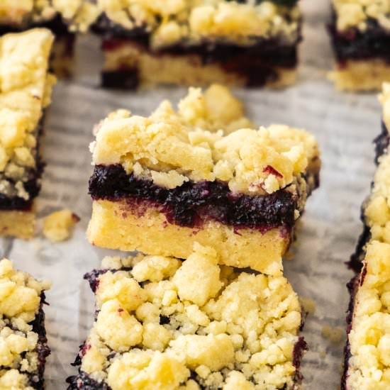 Blueberry Crumble Bars - Recipe photo by sugarsaltmagic
