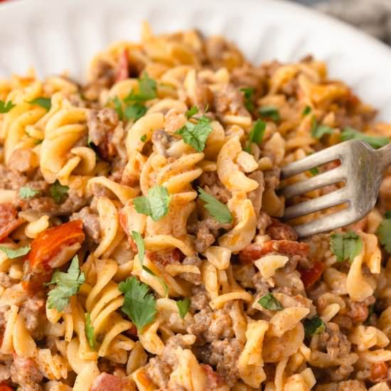 Easy Rotel Pasta - Recipe photo by LittleChefWithin