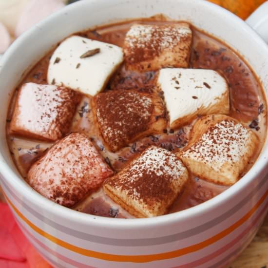 Homemade Hot Chocolate - Recipe photo by Paromita Mandal