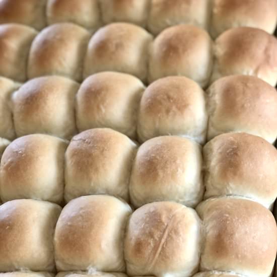 Parker House Rolls - Recipe photo by Jennyblogs