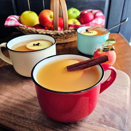 Hot Spiced Apple Cider - Recipe photo by My Homemade Roots