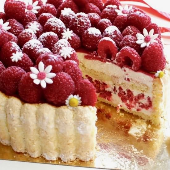 Charlotte Vanilla Mousse Cake - Recipe photo by Rachida
