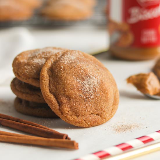 Cookie Butter Snickerdoodles - Recipe photo by A baJillian Recipes