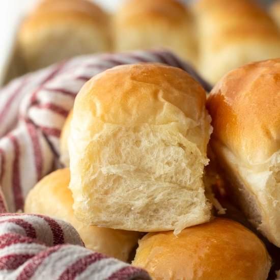 Homemade Yeast Dinner Rolls - Recipe photo by eatdessertsnack
