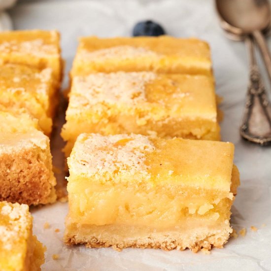 Lemon Bars Recipe - Recipe photo by SplashofTaste