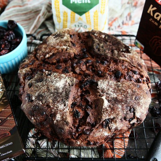Chocolate Cherry Rye Bread - Recipe photo by angiesrecipes