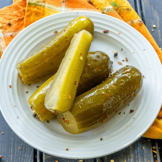 Easy Fermented Pickles - Recipe photo by ScratchMommy