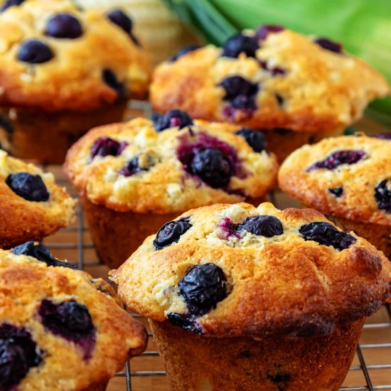 Blueberry Corn Muffins - Recipe photo by onlinepastrychef