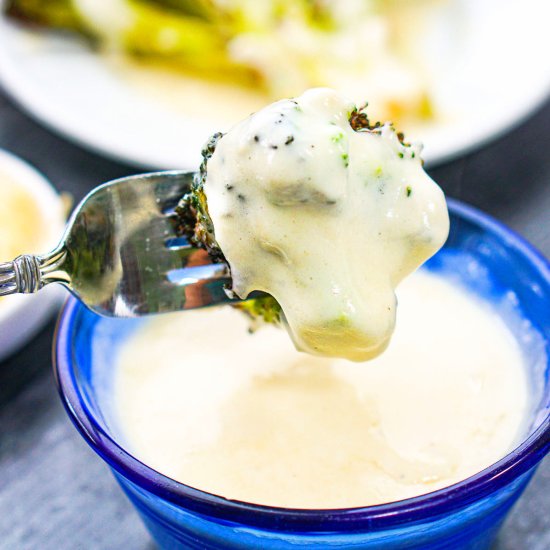 Keto Cottage Cheese Alfredo Sauce - Recipe photo by MyLifeCookbook