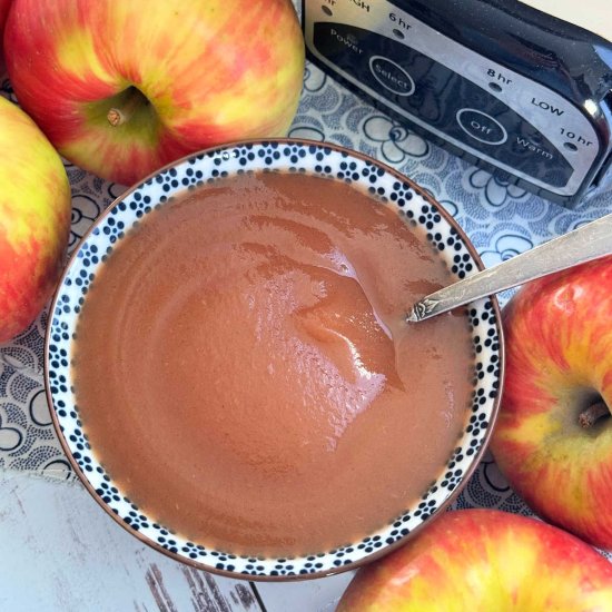 Crockpot Applesauce - Recipe photo by Foodtastic Mom