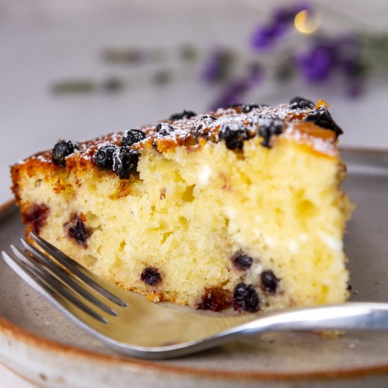 Blueberry Cottage Cheese Cake - Recipe photo by LifeCurrents