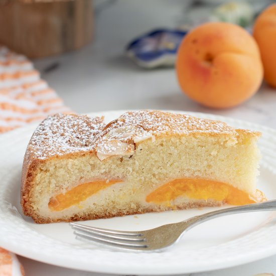 Apricot Cake - Recipe photo by eileen.baking-sense
