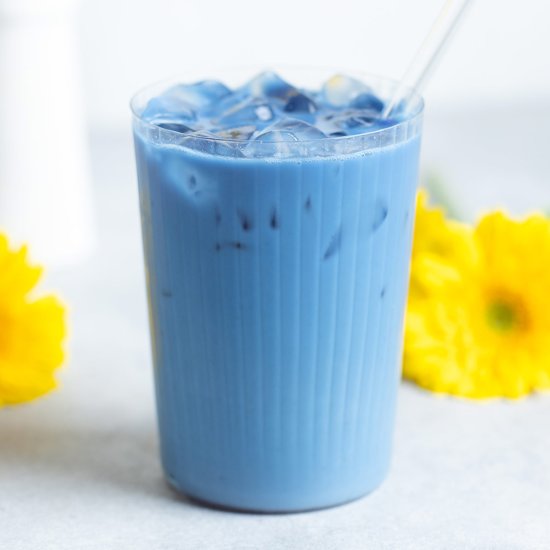 Iced Butterfly Pea Flower Latte - Recipe photo by thehealthfulideas