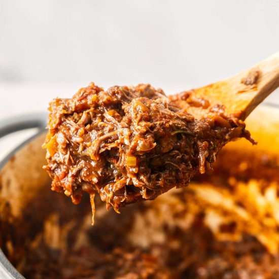 Beef Shin Ragu - Recipe photo by sugarsaltmagic